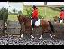 PoulaTo: 10 χρονών Kfps Reg Friesian Mare